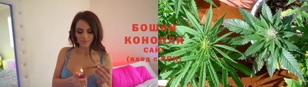 спайс Беломорск