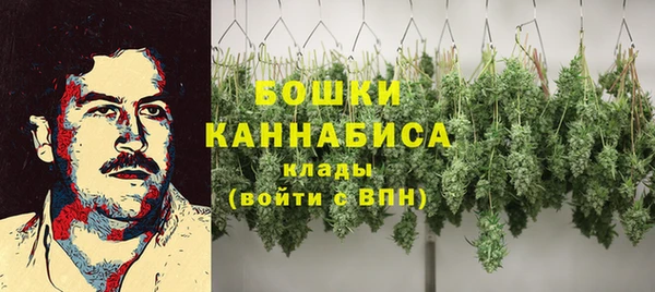 сатива Белоозёрский